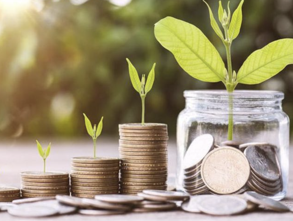 Investasi Syariah Menemukan Keuntungan dengan Prinsip Halal